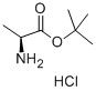 98+ whiter powder  L-Ala-Otbu.Hcl CAS NO. 13404-22-3