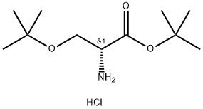 98+ White Powder    D-Ser(tbu)-Otbu.Hcl    CAS NO.179559-35-4