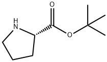 98+ White Powder  L-Pro-Otbu  CAS NO.2812-46-6
