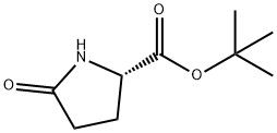 98+   White Powder L-Pyr-OtBu  CAS NO. 35418-16-7
