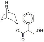 95+ White Powder Noratropine CAS 16839-98-8
